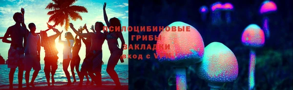индика Красноперекопск