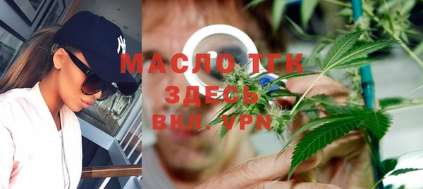 индика Красноперекопск