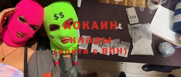 индика Красноперекопск